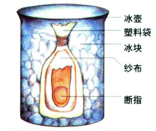 imagefile image005.png